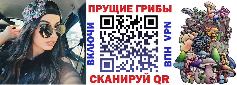 Псилоцибиновые грибы ЛСД  Купить  Лагань 